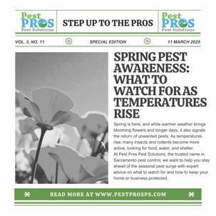 Spring Pest Awareness with Pest Pros Pest Solutions: What to Watch for as Temperatures Rise in Sacramento.